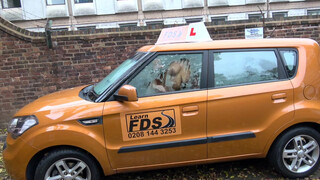 Fake Driving School cuki japán kisasszony dugni akar