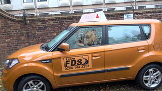 Fake Driving School szexy orosz tanárnéni megujjazva